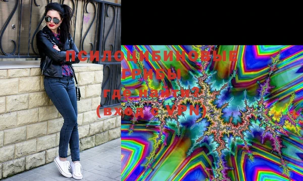 эйфоретик Белокуриха