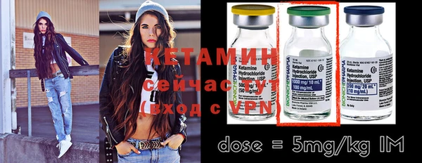 дмт Пестово
