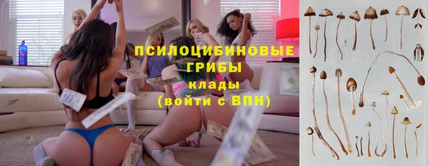 эйфоретик Белокуриха